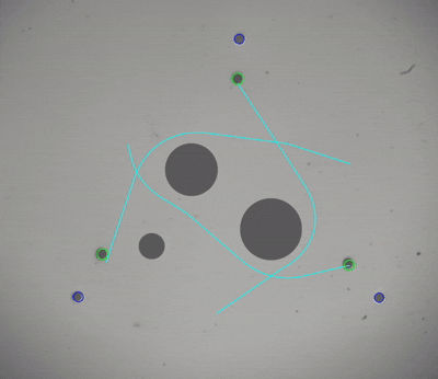 jia2025noncontact.gif