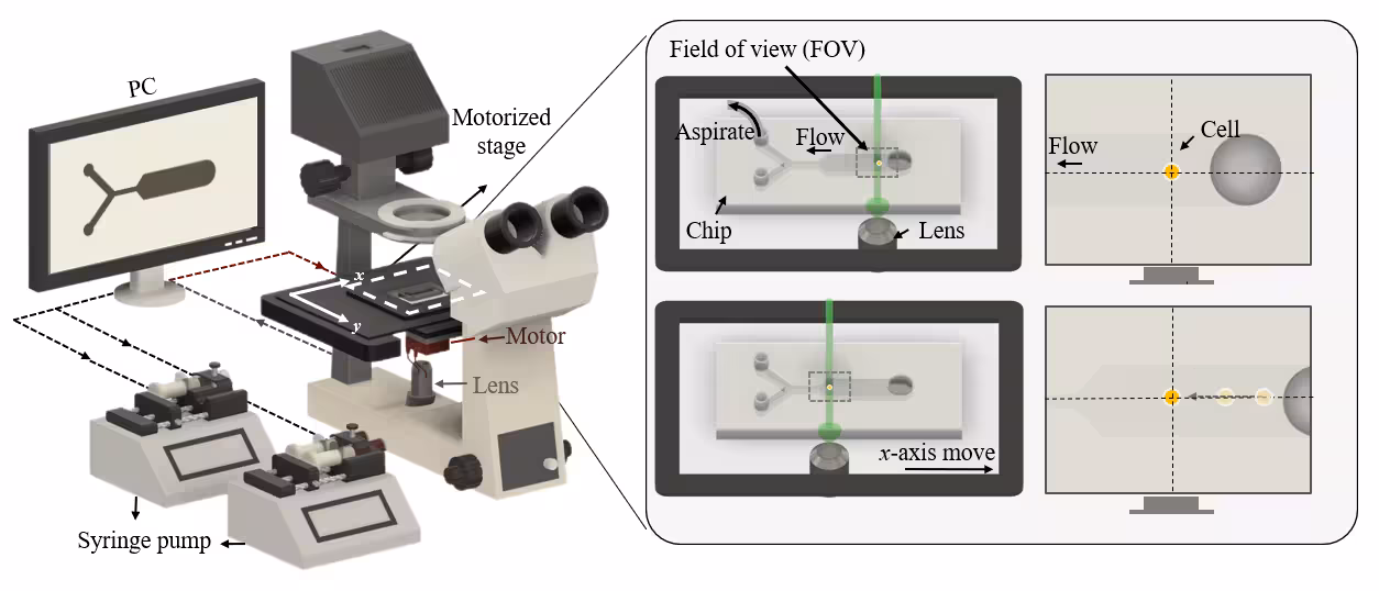 miao2025cell.avif